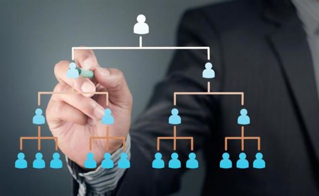 Sơ đồ tổ chức